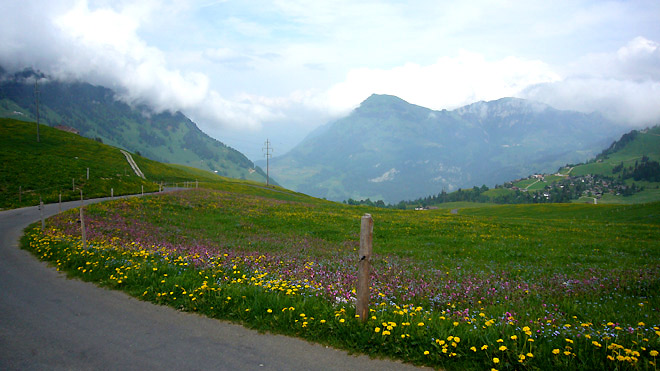 Ächerlipass mit wunderschöner Alpenflora, Nidwaldnerseite (Dallenwil)