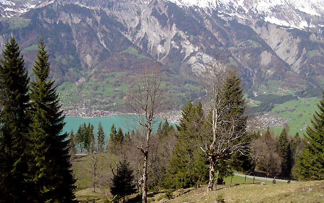 Blick von der Axalp auf Brienz und den Brienzersee