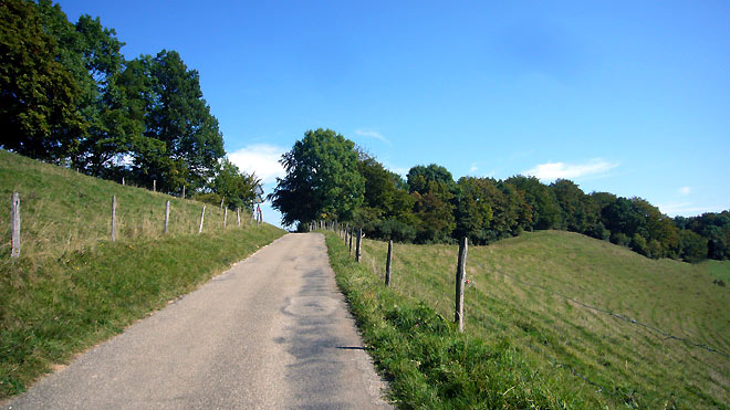 Auf der Liesbergstrasse, Kanton Basel-Land