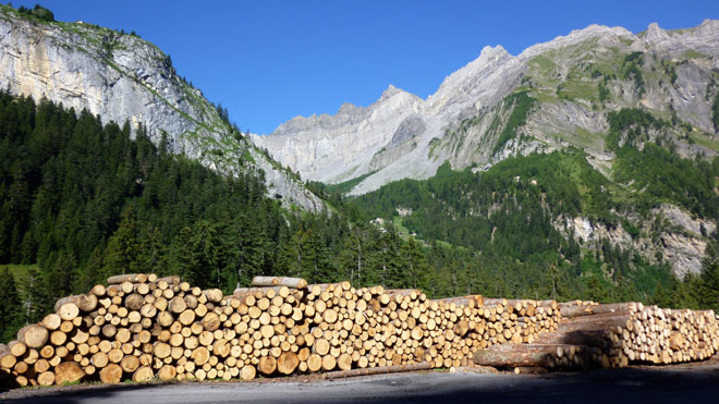 Blick hinauf Richtung Sanetschgebiet