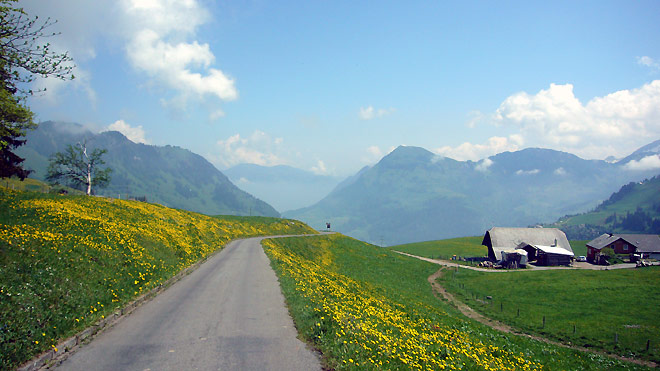 Ächerlipass mit wunderschöner Alpenflora (Nidwaldnerseite)