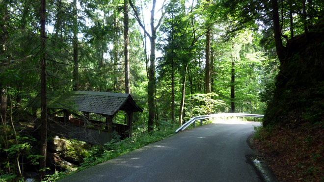 Durch den Wald in Richtung Wintersberg / Krummenau