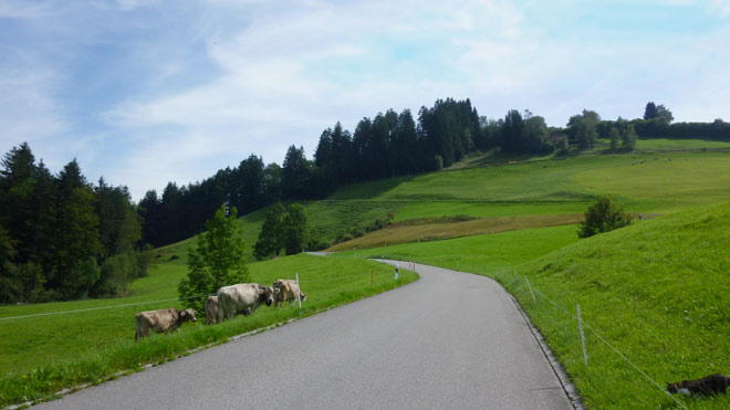 Richtung Hemberg