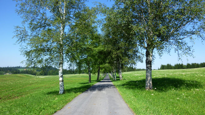 Zugerberg, Alle auf der Passhöhe