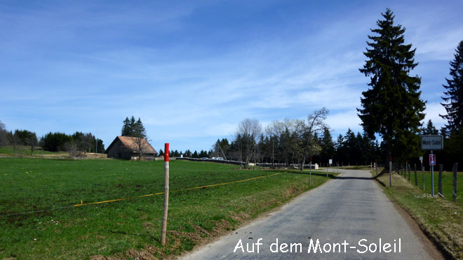 Auf dem Mont-Soleil