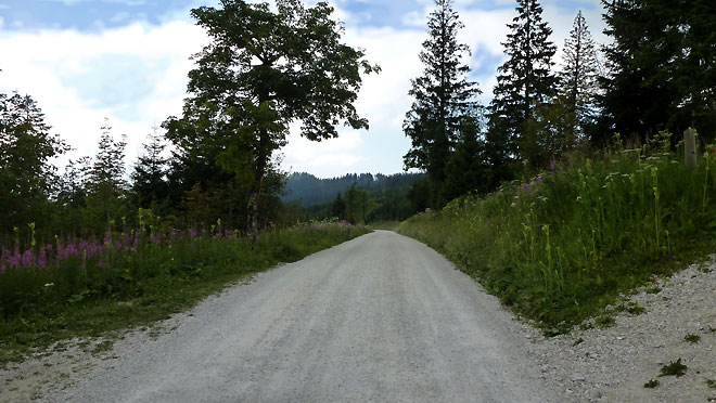Auf der Naturstrasse richtung Ottenleuebad
