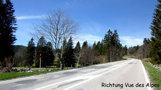 Strasse Richtung Col des Vue des Alpes