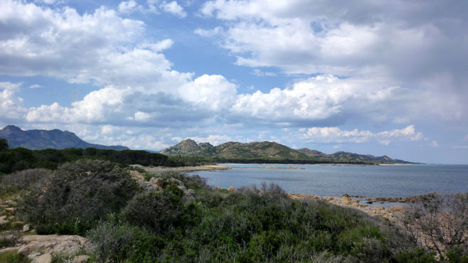 Strand