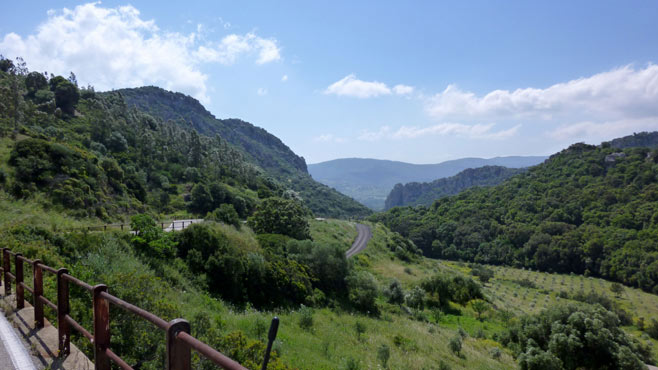 Landschaft