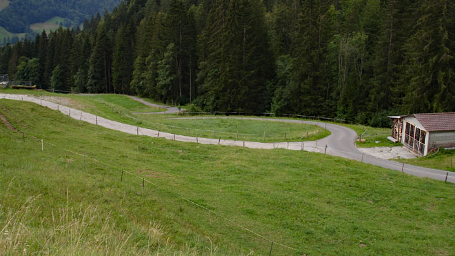 Durch Wald und Bergweiden steigst du gemächlich höher