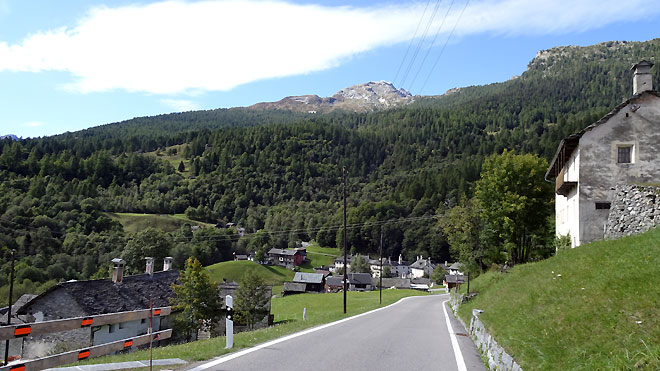 Campo