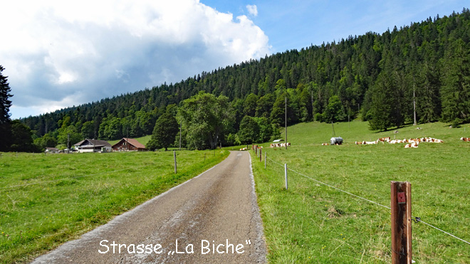 Auf der Strasse Le Biche unterwegs Richtung Vue des Alpes