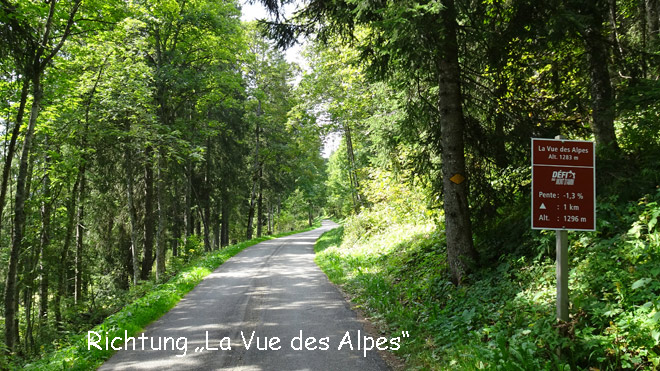 Richtung La Vue des Alpes (NE)