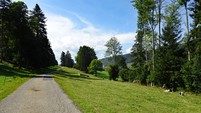 Bergwärts