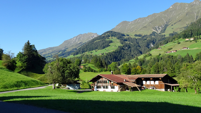 Reinisch