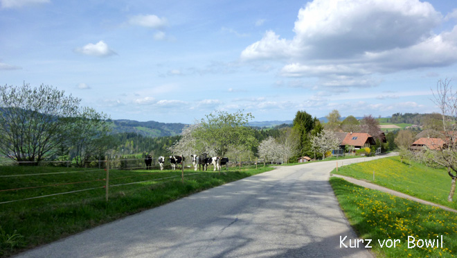 Ende der Chuderhüsistrasse bei Bowil