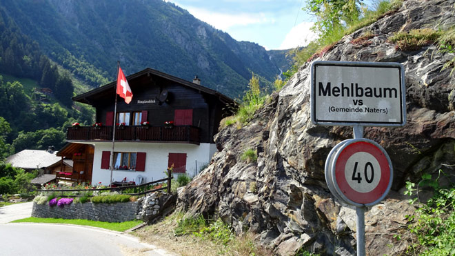 Mehlbaum