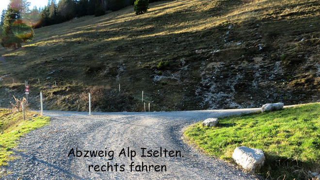 Auf der Naturstasse beim Abzweig Alp Isetelten nach rechts abbiegen