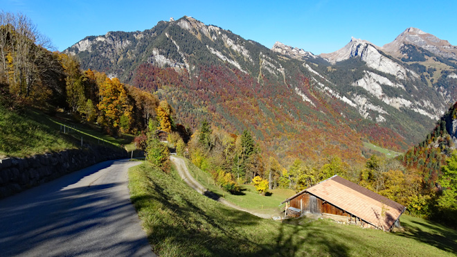 Talfahrt mit wunderschöner Bergsicht