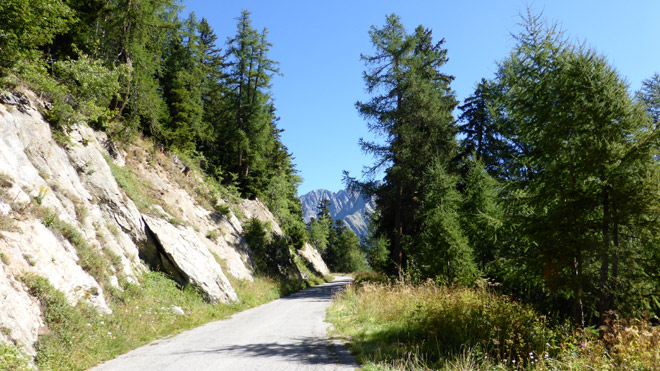 Richtung Untere Feselalp