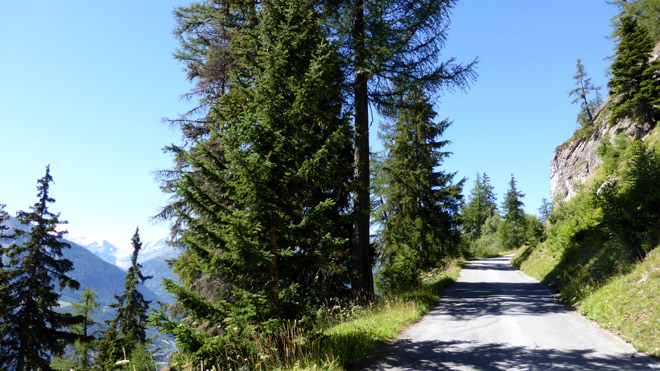 Richtung Untere Feselalp
