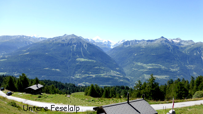 Untere Feselalp