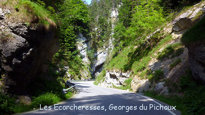 Les Ecorcheresses, Georges du Pichoux