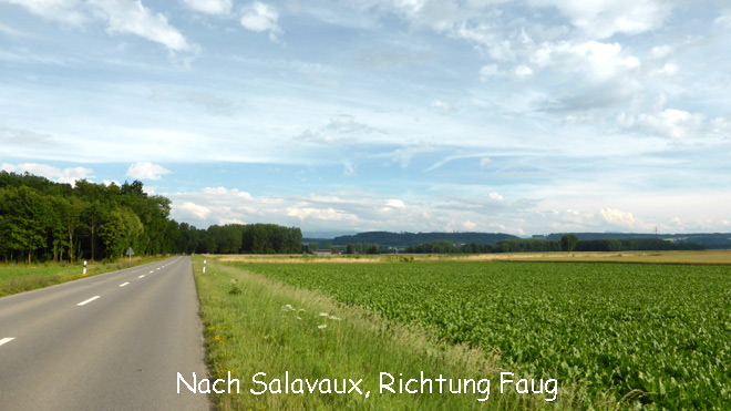 Nach Salavaux, Richtung Faug