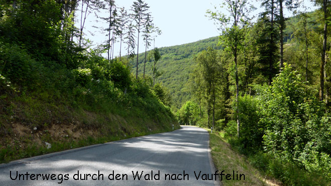 Durch den Wald hinunter nach Vauffelin