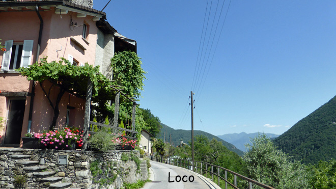 Loco
