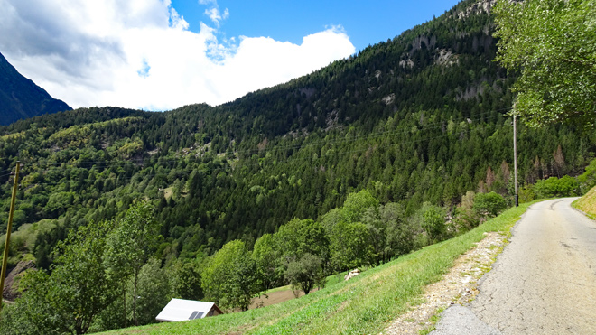Berglandschaft, Wald und Strasse nach Brusgnago