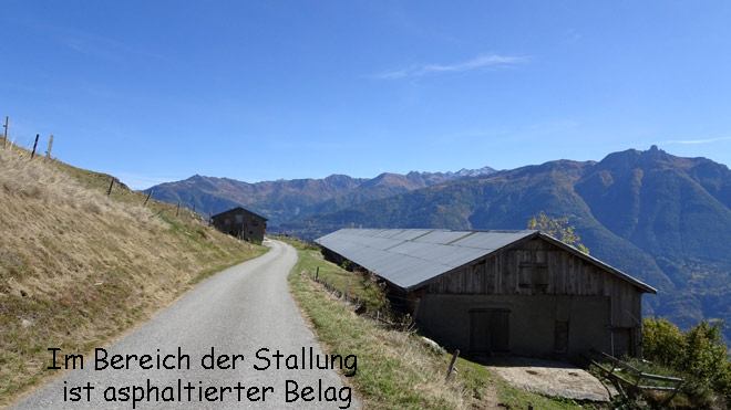 Im Bereich der Stallung ist asphaltierter Belag