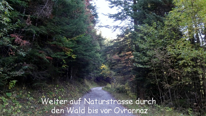 Weiter auf Naturstrasse durch den Wald bis vor Ovronnaz