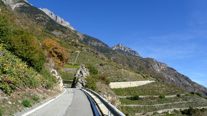 Fahrt durch die Rebberge