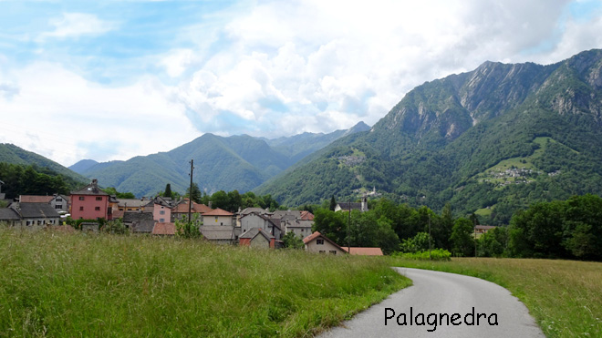 Palagnedra