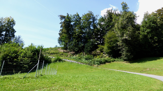 Blick Richtung Walensee