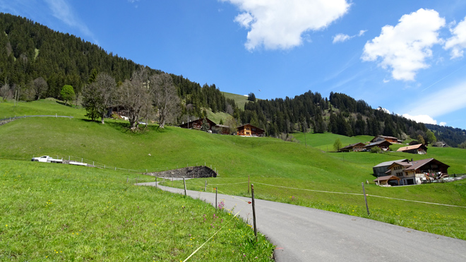 Weidelandschaft vor Turbach