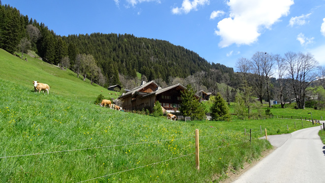 Kurz vor Turbach