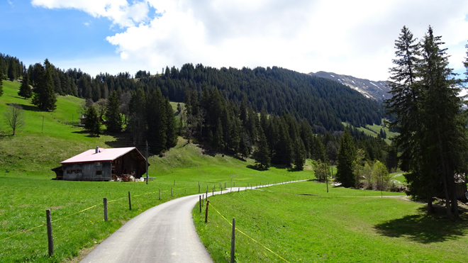 Auf schmaler asphaltierter Strasse weiter im Turbachtal