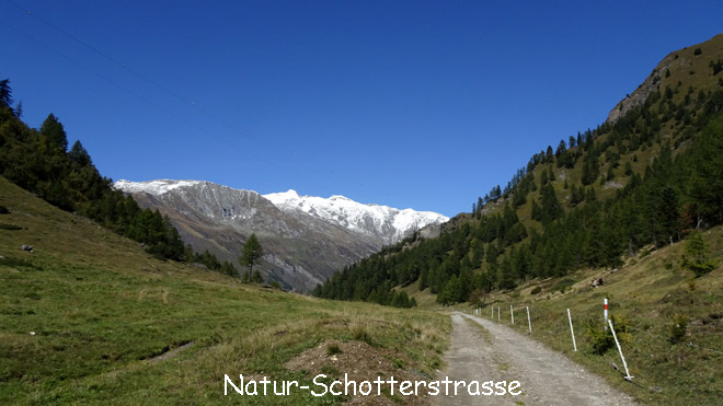 Natur-Schotterstrasse